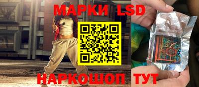 jwh Ставрополь