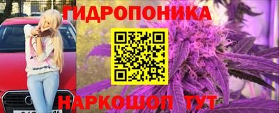 мяу мяу мука Тверь