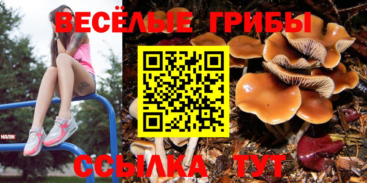 Галлюциногенные грибы прущие грибы Артёмовский
